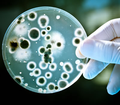 Legionella Risk Assessments